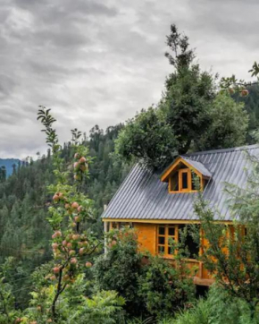 THE TREE HOUSE JIBHI ,Swastika Aashiyana